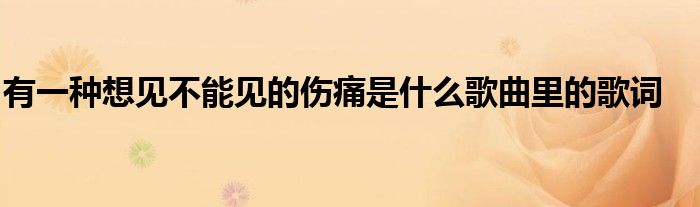 有一種想見不能見的傷痛是什麼歌曲裡的歌詞_環球科創網