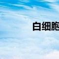 白细胞介素23（白细胞介素2）