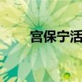 宫保宁活性炭吸附栓作用（宫保宁）