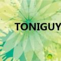 TONIGUY的全球技术总监（toniguy）