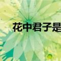 花中君子是哪种花（花中君子是什么花）