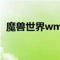 魔兽世界wmo 关闭原因（魔兽世界wmo）