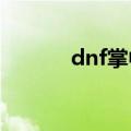 dnf掌中宝2013（dnf掌中宝）