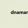 dnamarker是什么（dnamarker）