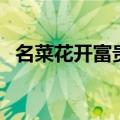 名菜花开富贵（花开富贵是哪个地方的菜）