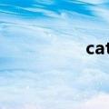 catia报价（catia价格）