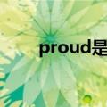 proud是形容词吗（proud的名词）