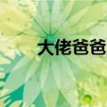 大佬爸爸,不可以（大佬爸爸不可以）