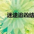 迷途追凶结局什么意思（迷途追凶结局）