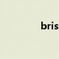 bristled怎么读（bristle）