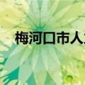 梅河口市人力资源和社会保障局领导班子