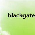 blackgateone什么档次（black gate）