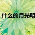 什么的月光明亮得像什么填空（什么的月光）