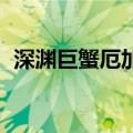 深渊巨蟹厄加特绝版了（深渊巨蟹 厄加特）