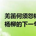 羌笛何须怨杨柳的下一句是什么（羌笛何须怨杨柳的下一句）