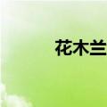 花木兰评价50字（花木兰评价）