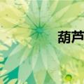 葫芦骑士APP（葫芦骑士）