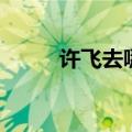 许飞去哪了（许飞和厉娜怎么了）