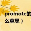 promote的名词是什么意思（promote是什么意思）