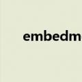 embedmovie属性（embedmovie）