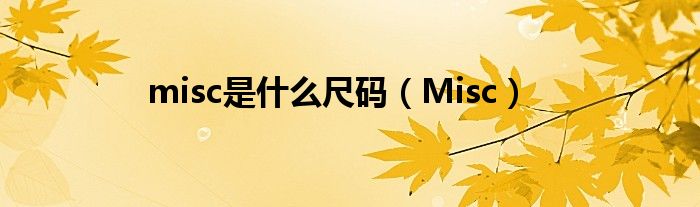 misc是什么尺码（Misc）_环球科创网