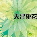 天津桃花园（关于天津桃花园简介）