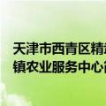 天津市西青区精武镇农业服务中心（关于天津市西青区精武镇农业服务中心简介）