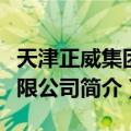 天津正威集团有限公司（关于天津正威集团有限公司简介）