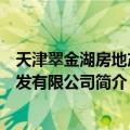 天津翠金湖房地产开发有限公司（关于天津翠金湖房地产开发有限公司简介）