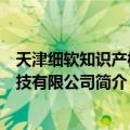 天津细软知识产权科技有限公司（关于天津细软知识产权科技有限公司简介）