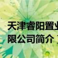 天津睿阳置业有限公司（关于天津睿阳置业有限公司简介）