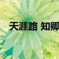 天涯路 知卿心（关于天涯路 知卿心简介）