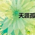 天涯孤客（关于天涯孤客简介）