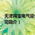 天津鸿宝电气设备有限公司（关于天津鸿宝电气设备有限公司简介）