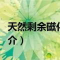 天然剩余磁化强度（关于天然剩余磁化强度简介）