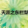 天涯之东栏梨花（关于天涯之东栏梨花简介）