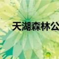 天湖森林公园（关于天湖森林公园简介）