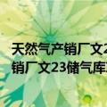 天然气产销厂文23储气库项目部志愿服务队（关于天然气产销厂文23储气库项目部志愿服务队简介）