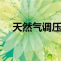 天然气调压箱（关于天然气调压箱简介）