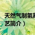 天然气制氢氰酸工艺（关于天然气制氢氰酸工艺简介）