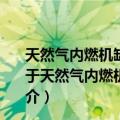 天然气内燃机缸内直接喷气技术及其自适应控制的研究（关于天然气内燃机缸内直接喷气技术及其自适应控制的研究简介）