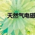 天然气电磁阀（关于天然气电磁阀简介）