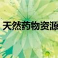 天然药物资源学（关于天然药物资源学简介）