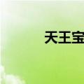 天王宝螺（关于天王宝螺简介）