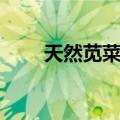 天然苋菜红（关于天然苋菜红简介）