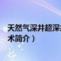 天然气深井超深井钻井技术（关于天然气深井超深井钻井技术简介）