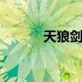 天狼剑谱（关于天狼剑谱简介）