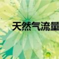 天然气流量计（关于天然气流量计简介）