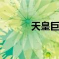 天皇巨星（关于天皇巨星简介）