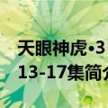 天眼神虎·3 第13-17集（关于天眼神虎·3 第13-17集简介）